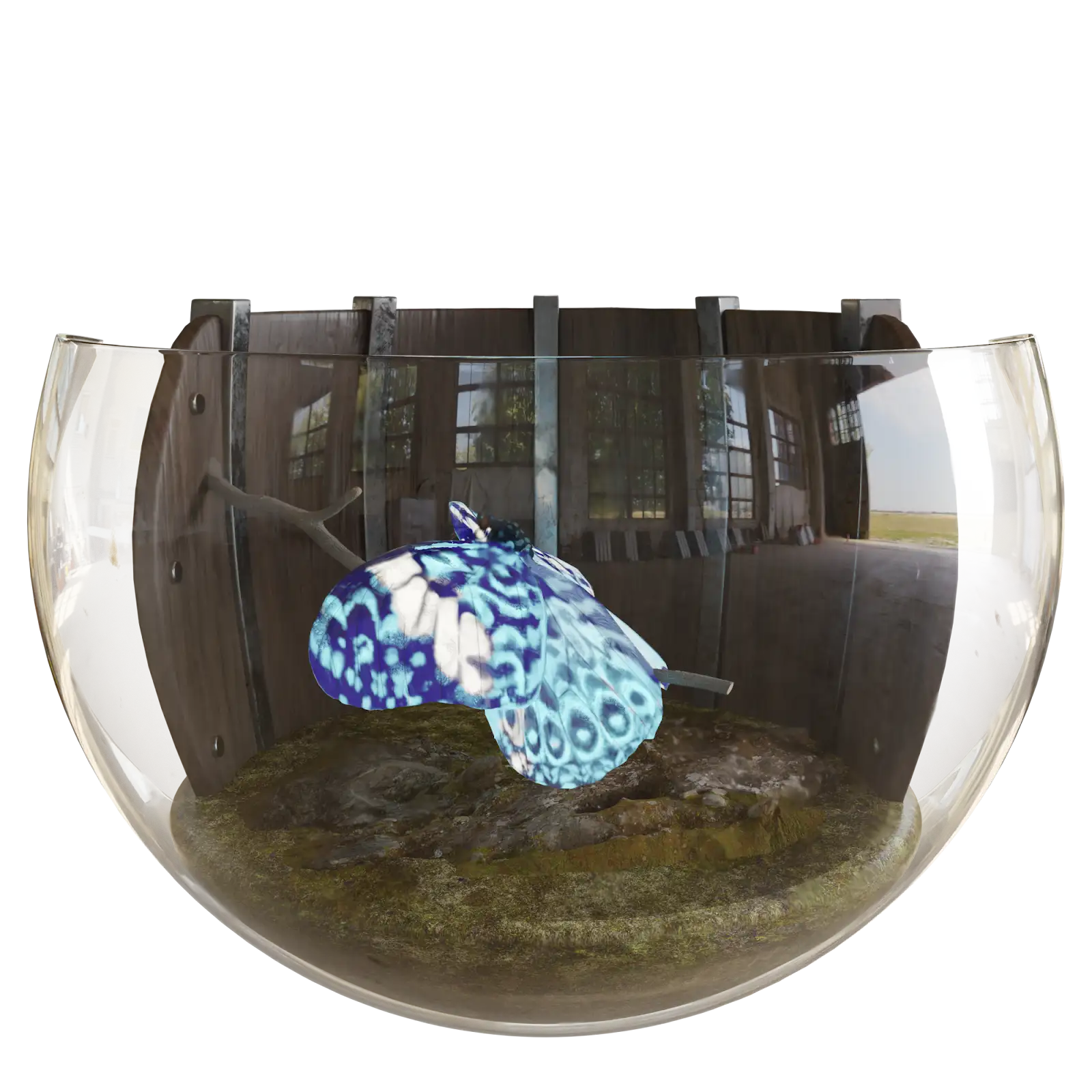 Butterfly collectible object render