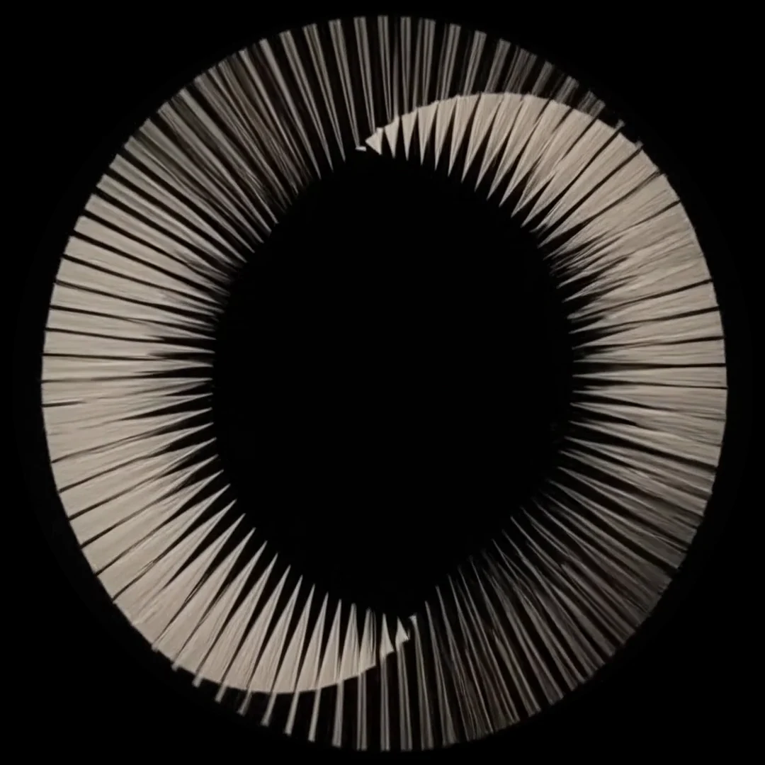 Radial folds — still from Tonic’s custom fan content