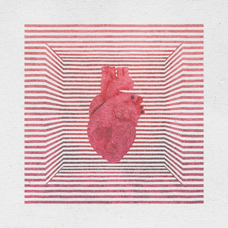 Bee’s Knees – “Variety Pack” EP Artwork - recovered Bee's Knees | Variety Pack EP Artwork image 2