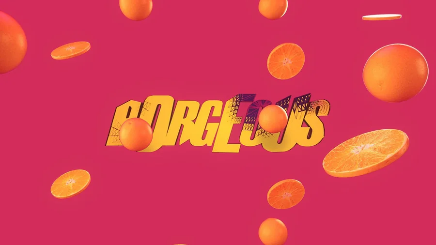 Borgeous Visuals - Summer 2017 gallery image 8