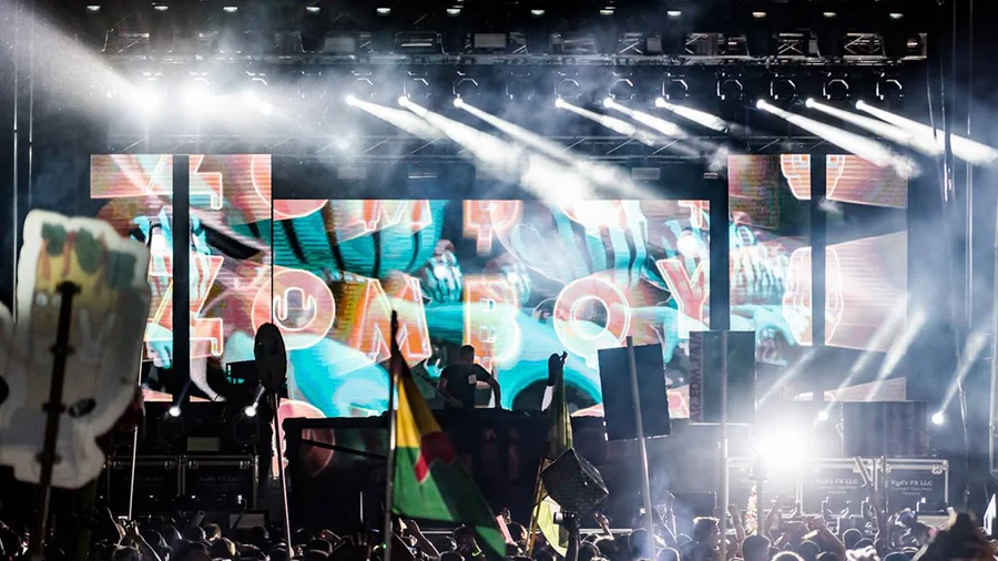 Dancefestopia festival visuals gallery image 13