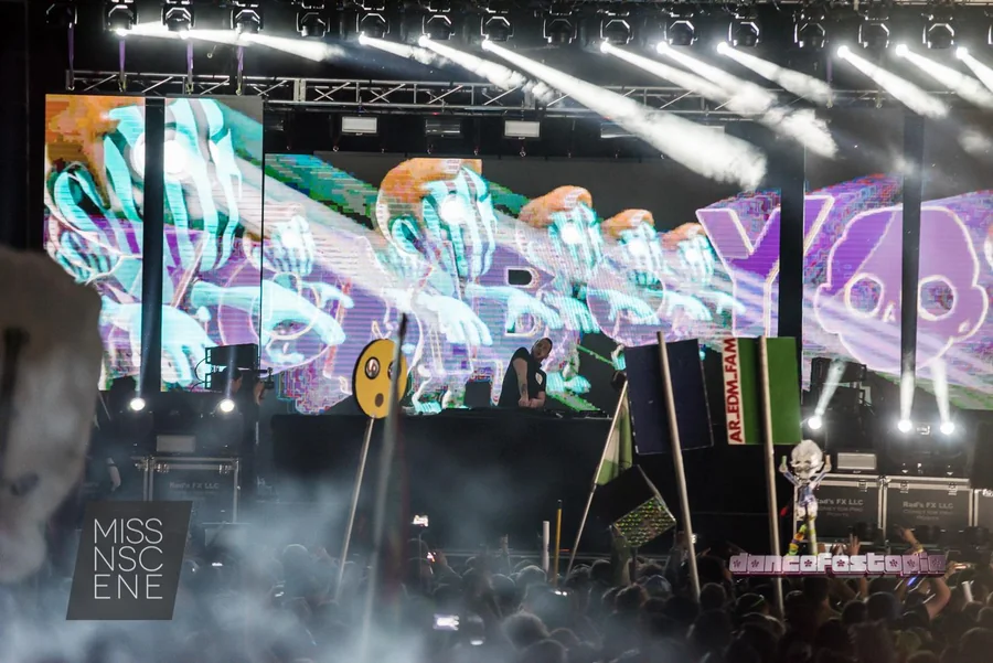 Dancefestopia festival visuals gallery image 26