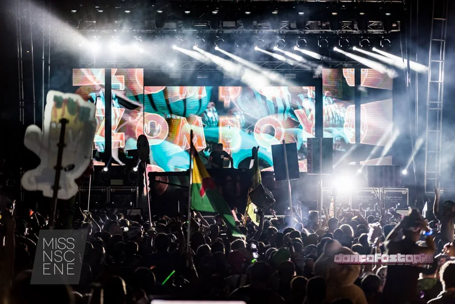 Dancefestopia festival visuals gallery image 4