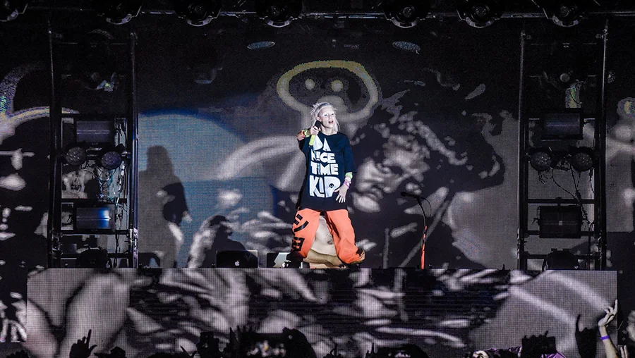 DIE ANTWOORD artist visuals, vj & show operation gallery image 4