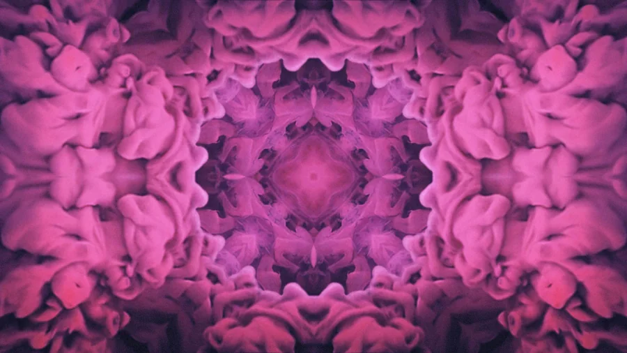 Bassnectar artist visuals gallery image 32