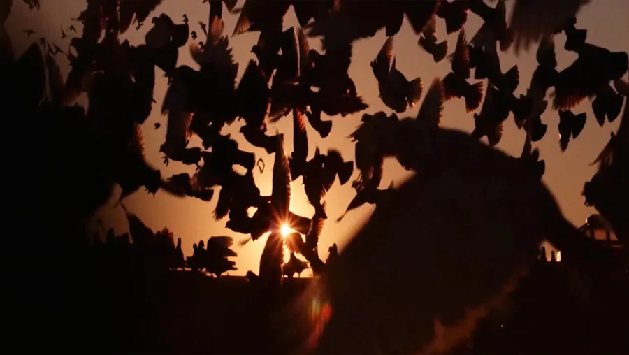 Illenium – AV Track Visuals artist visuals gallery image 11