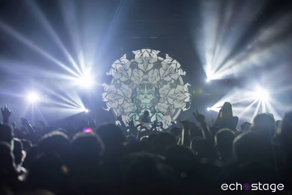 Datsik gallery image 49