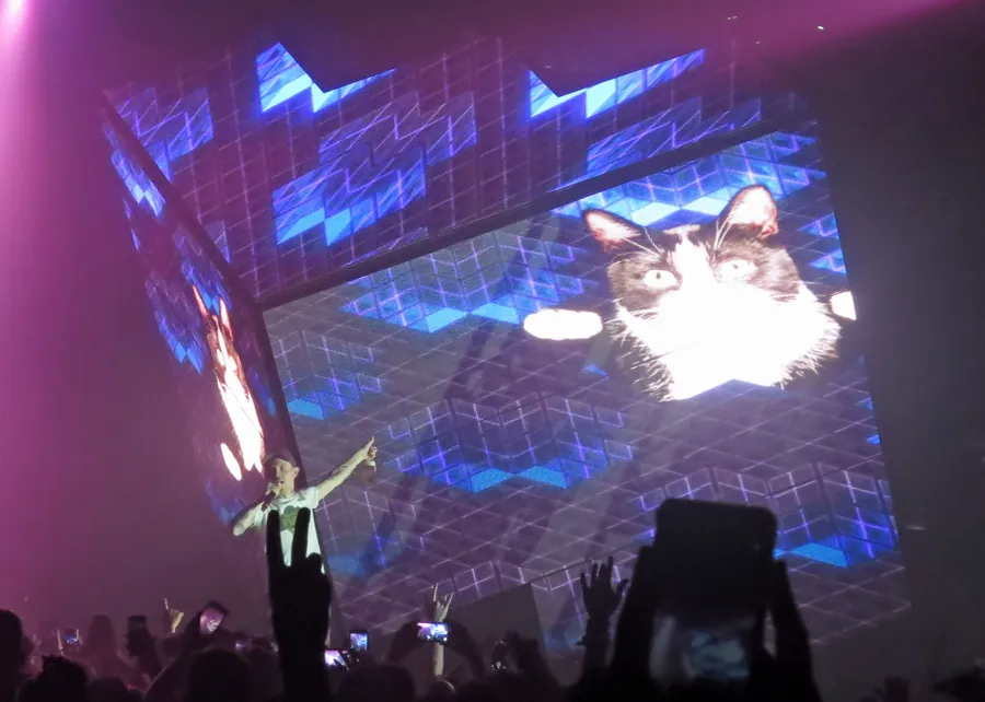 Cube 2.1 displaying a large cat visual over the crowd
