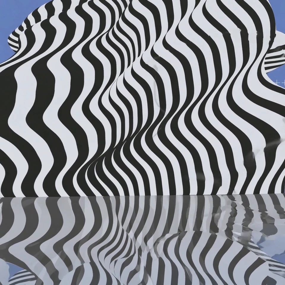 Close-up black-and-white wavy stripes reflected across a horizontal boundary.